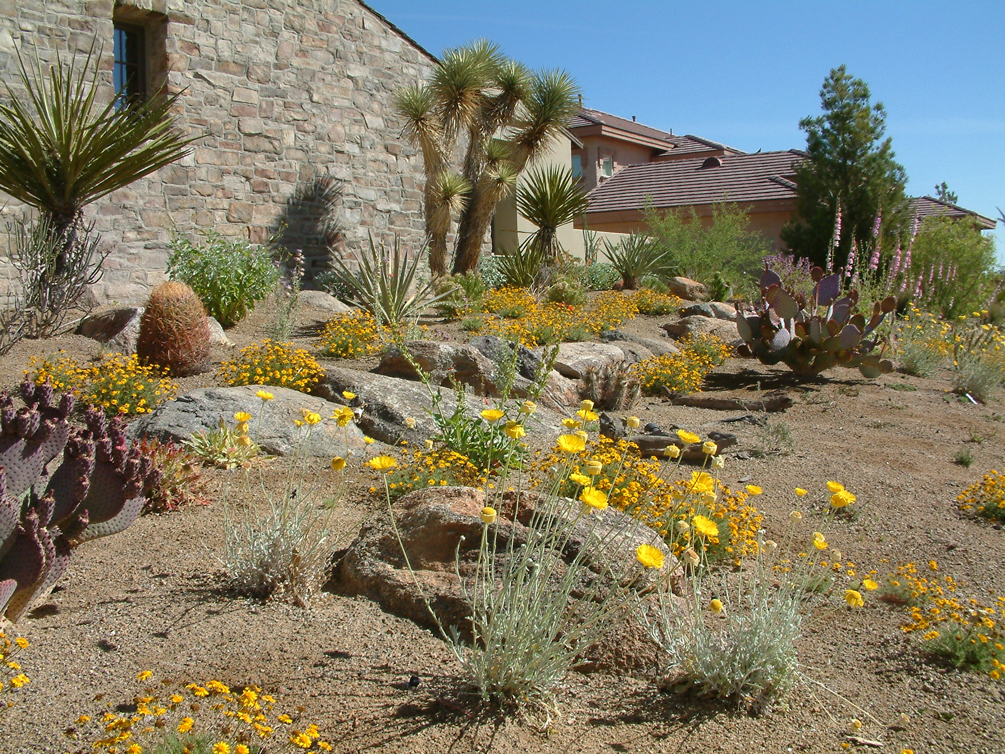 GW28 Mojave Garden