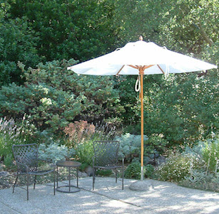 Lafayette California Native Garden