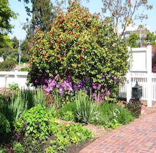 Luther Burbank Home & Garden in Santa Rosa