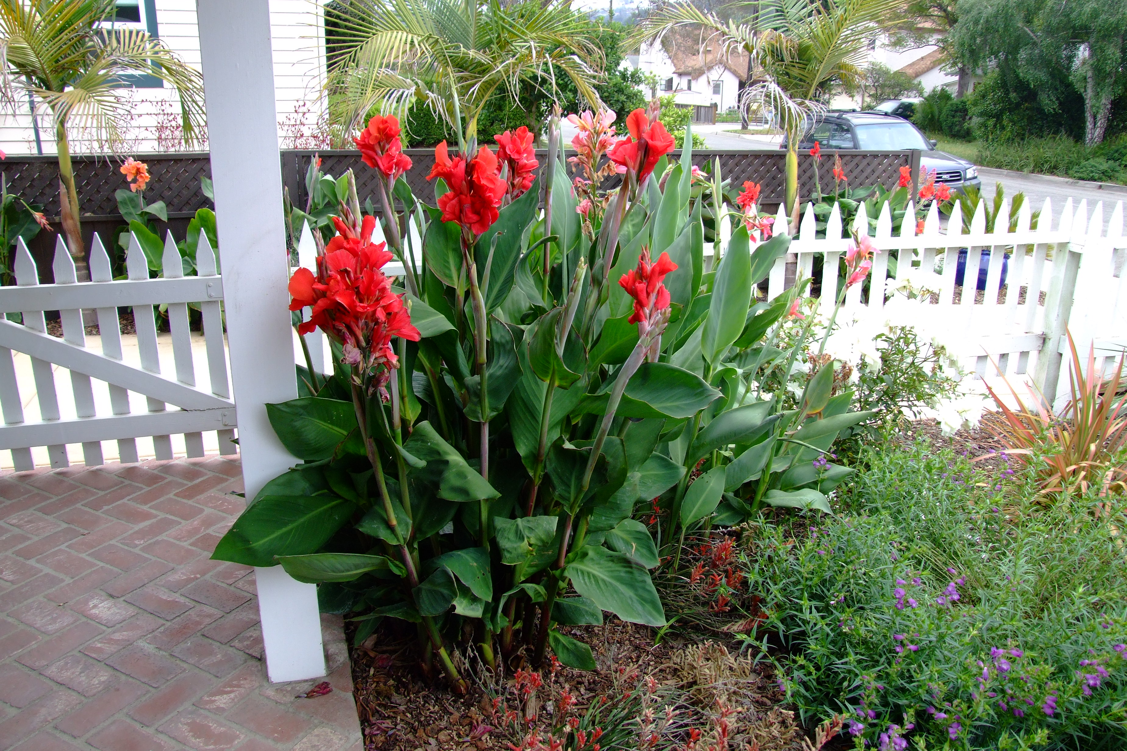 Tropical ™ series - Norseco