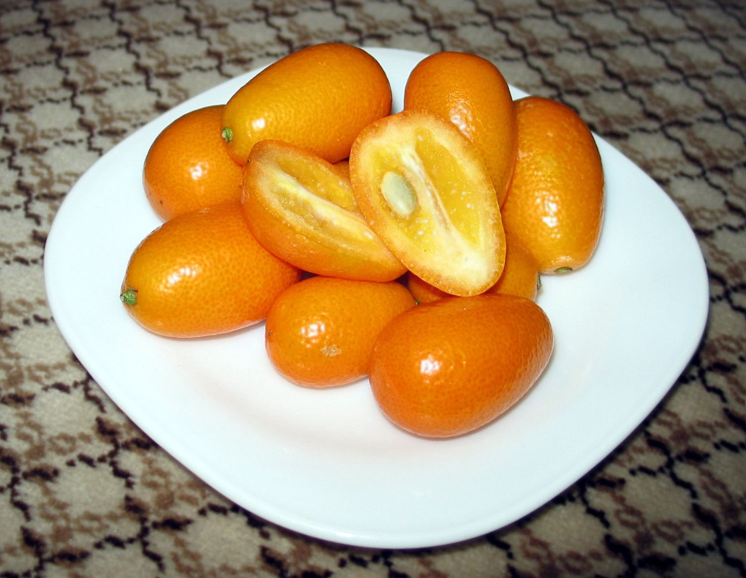 Fortunella margarita 'Nagami' - Nagami Kumquat | PlantMaster