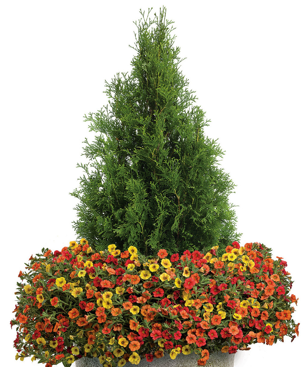 ♡*♡様 半額【超激レア】Think Bee! ボタンアートツリー ♡*♡様 半額