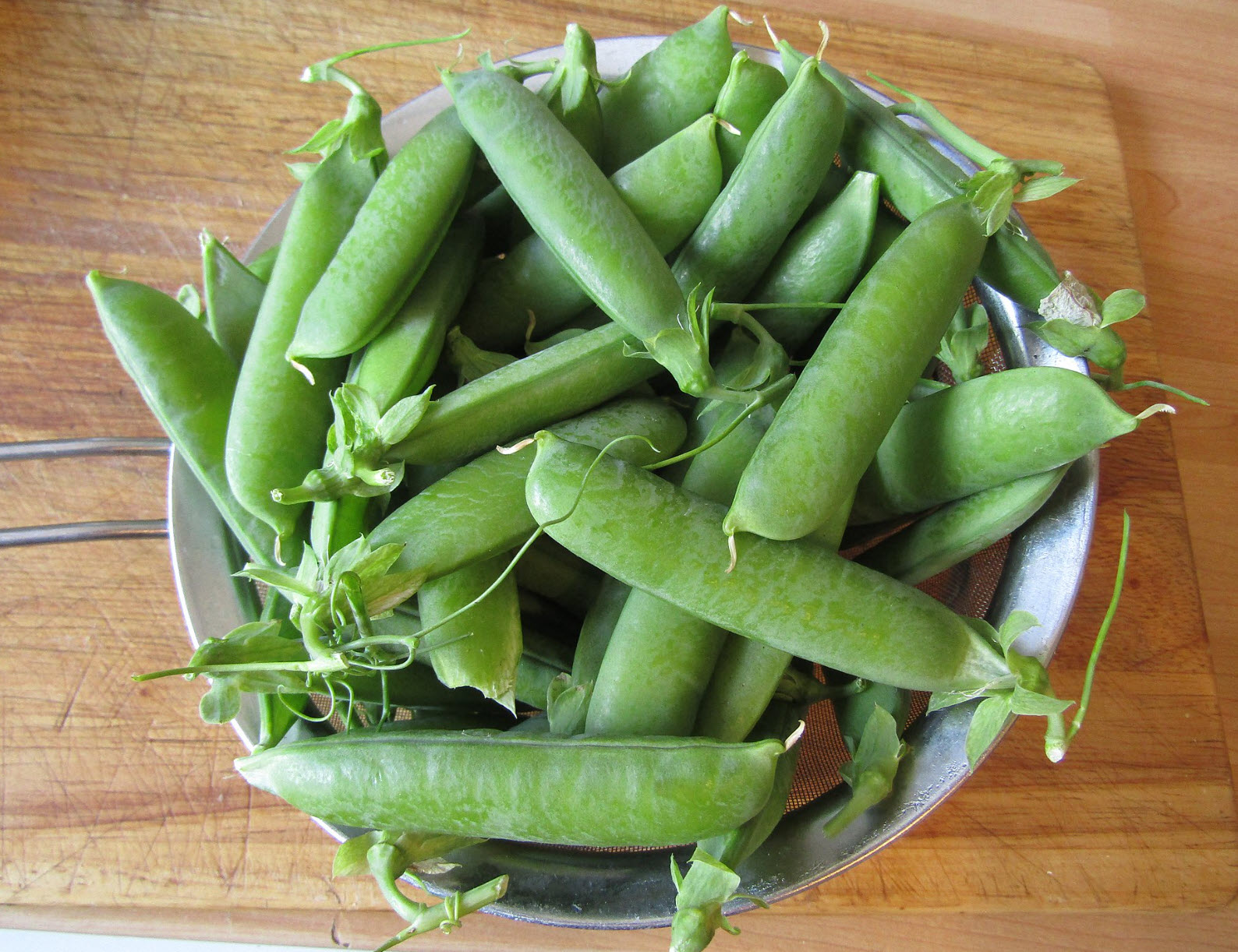 all purpose plant food All Purpose Plant Food 5-5-5