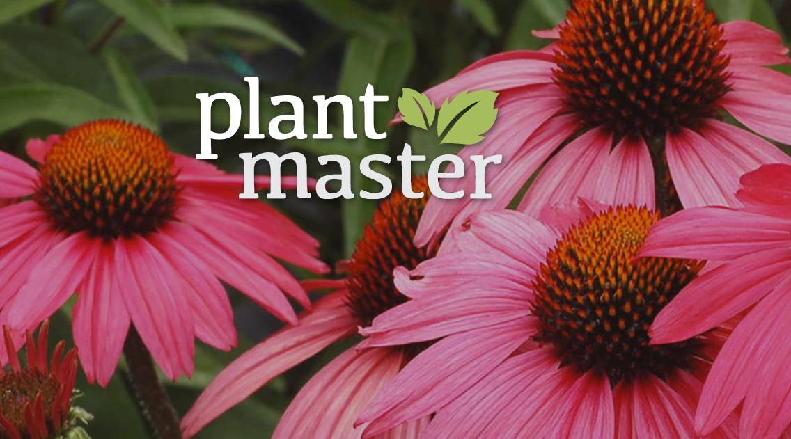 | plantmaster.com
