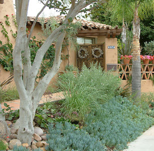 San Diego Tropical Garden
