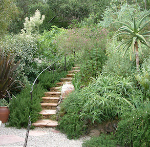 California Greek Garden
