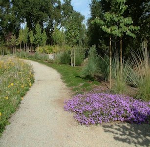 McConnel Arboretum in Redding