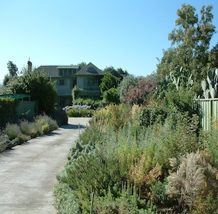 Ruth Bancroft Garden in Concord
