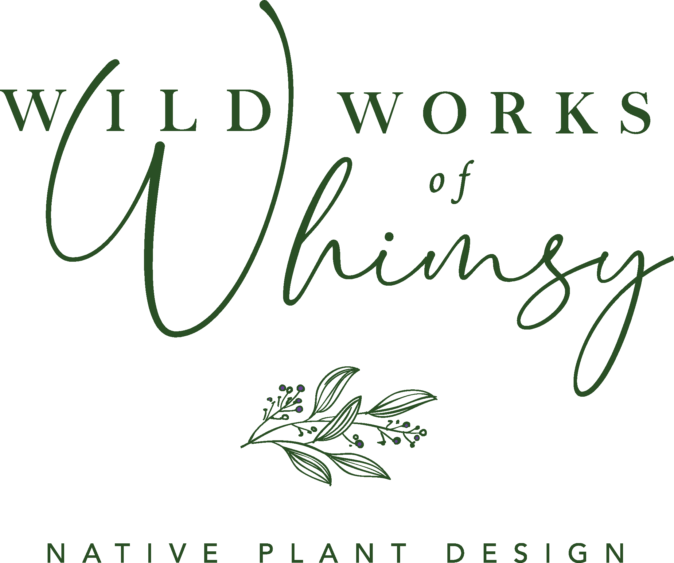 Wild Works Of Whimsy Favorite SE Virginia mostly Native Plants Plants Wild Works Of Whimsy Favorite SE Virginia mostly Native Plants Plants