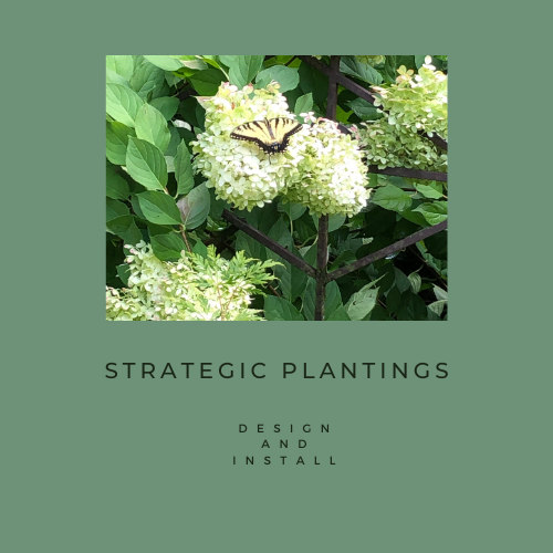 Strategic Plantings, LLC
