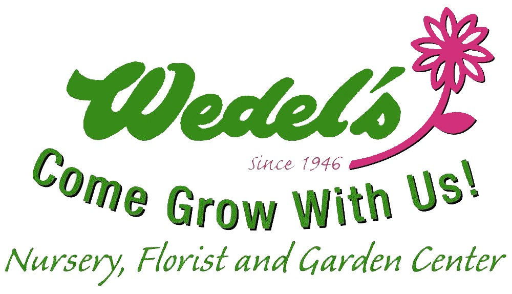 Jim and Susan Hankey Presentation